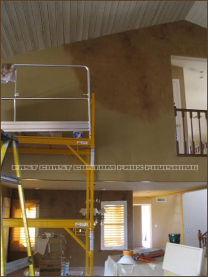phoenix faux leather walls